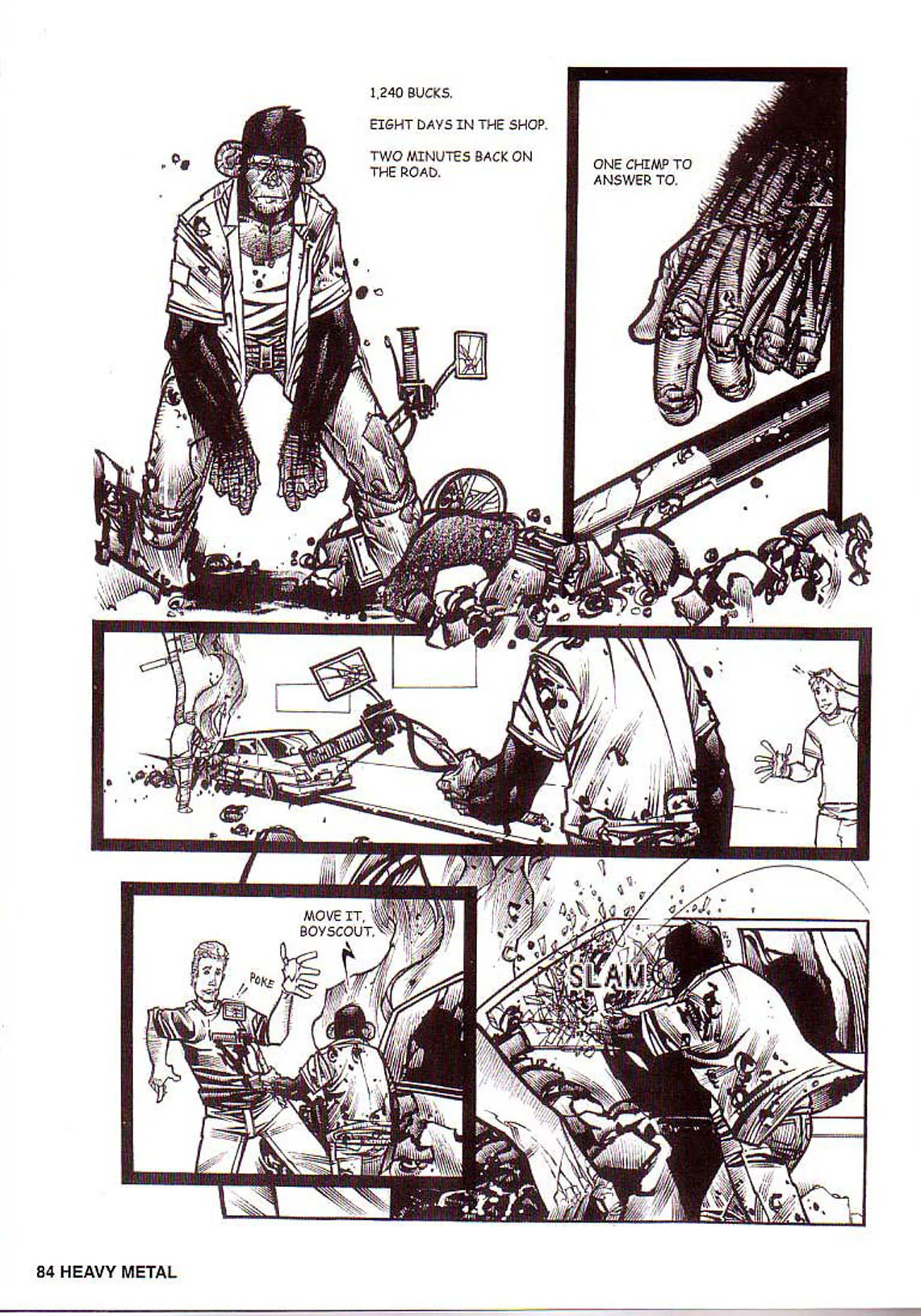 Thumbnail 11